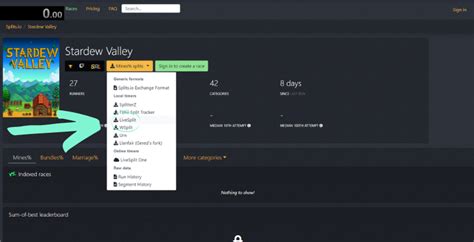 Image result for How Put Speed Run Timer