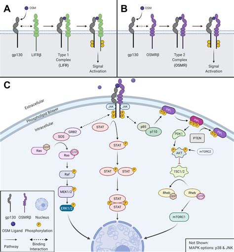 Image result for Open OSM File