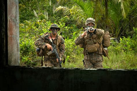 Pentagon sends ground forces to train in Panama’s jungle for first time ...