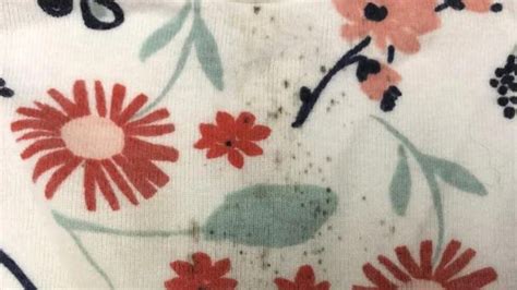How To Remove Mold Stain From Washable Fabrics | Tidy Diary