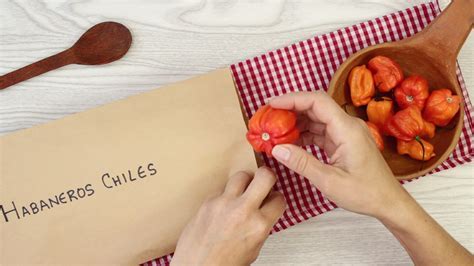 how to prepare habanero peppersDownload it from how to prepare habanero ...