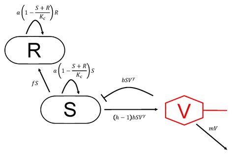 Kinetic Fingerprinting Links Bacteria-Phage Interactions with Emergent ...