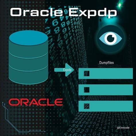 Image result for Oracle Exp