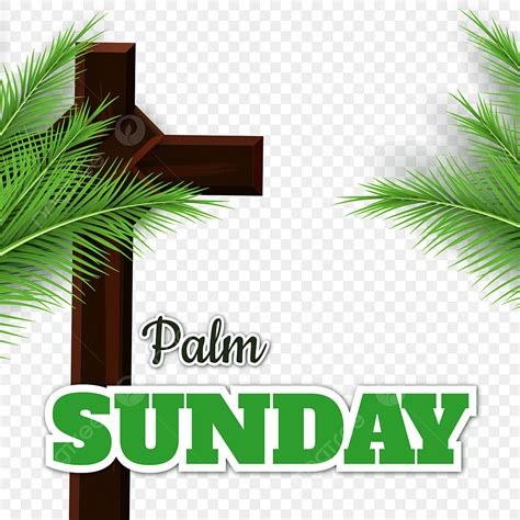 Happy Palm Sunday Png, Palm Sunday, Happy Palm, Palm Sunday Png PNG and ...