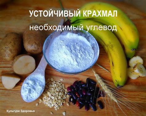 Устойчивый (резистентный) крахмал: его роль и полезные свойства ...