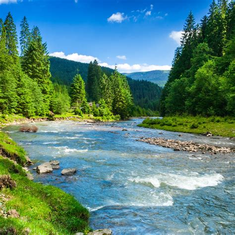 Beautiful Desktop Nature 的图像结果