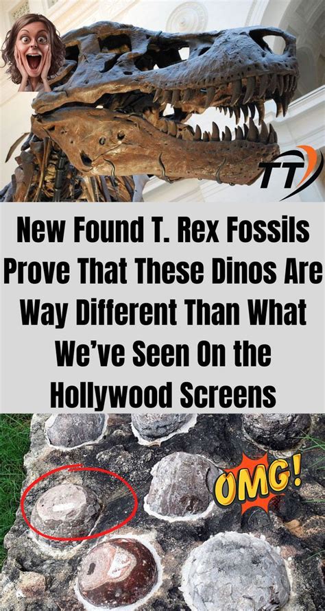 Bumpy Dinos Fossils 的图像结果