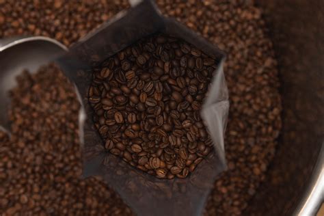 Image result for Himalayan Java