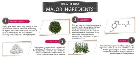 spanish-fly-ingredients-2 - Spanish Fly Aphrodisac