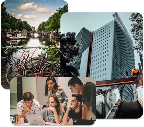 Image result for Dutch Python Tutorial