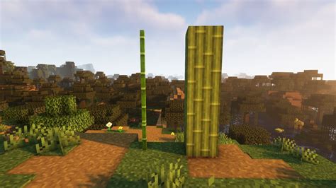 Uses For Bamboo In Minecraft at Yvonne Martin blog
