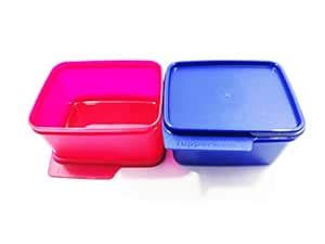 Buy Tupperware Keep Tab Small Plastic Container Set, 500 ml (Set of 2 ...