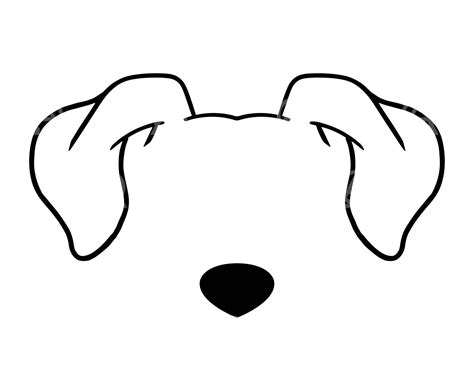 Ear Anatomy Dog