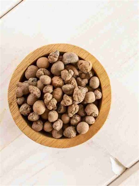 How to Use Leca 的图像结果