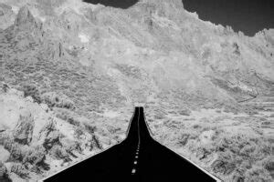 Culture Black and White 的图像结果