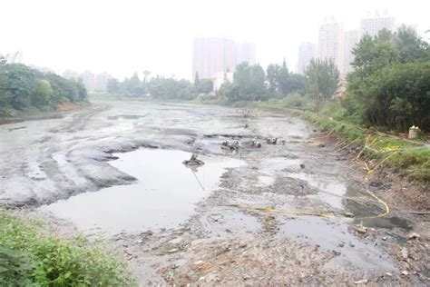 景观河道治理河底淤泥固化处理各种重金属超标 |价格|厂家|多少钱-全球塑胶网
