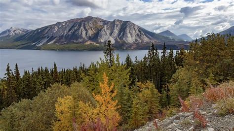 Yukon Canada Once Ahead Of The Curve, Yukon Finds Itself In A New