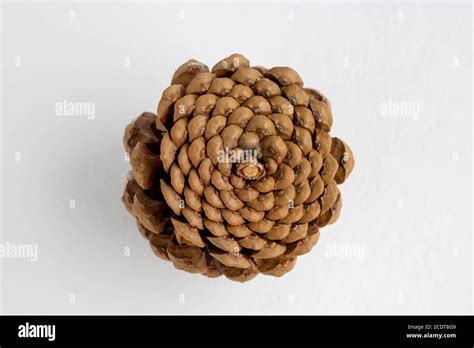 Image result for Double Inverted Cone