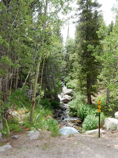 RMNP / Olive Ridge Campground – Chris and Codie