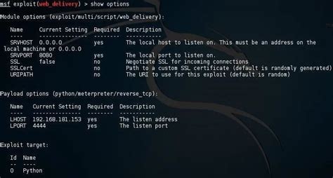 Metasploit Exploit Web Server 的图像结果