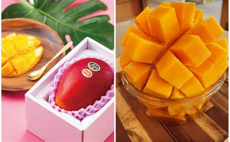 Original Japanese Miyazaki Mango Grafted Plant (Combo Pack Of 2 Live ...