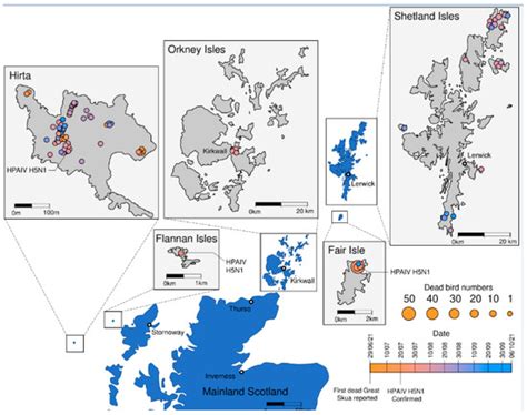 Viruses | Special Issue : Highly Pathogenic Avian Influenza Virus Emergence