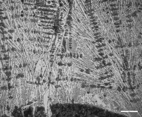 Image result for Engineering Science Microstructure of Metals