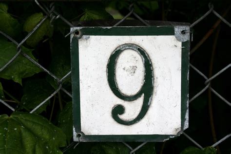 Number 9 Free Photo Download | FreeImages