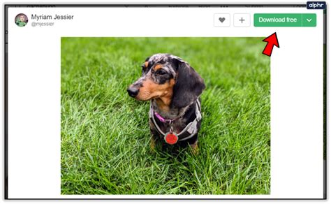 Image result for Open Files Automatically