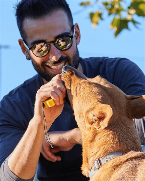 Image result for Clicker Trainer