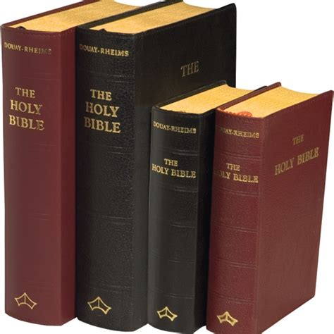 Image result for Douay-Rheims Bible
