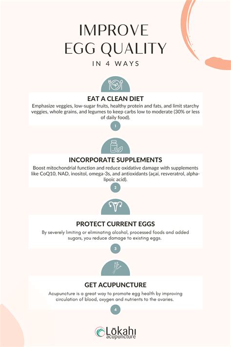 How To Improve Egg Quality