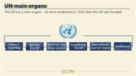 Graphics: The six main United Nations organs - CGTN