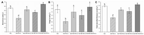 Combination of Biochar and Phosphorus Solubilizing Bacteria to Improve ...