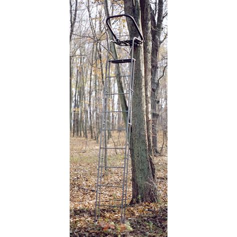 Image result for Shortest Ladder Tree Stands