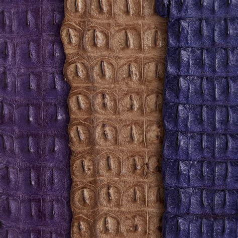 Exotic Leather 的图像结果