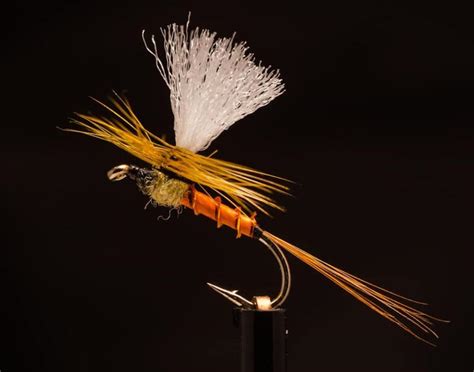 Image result for Trout Fly Patterns Free