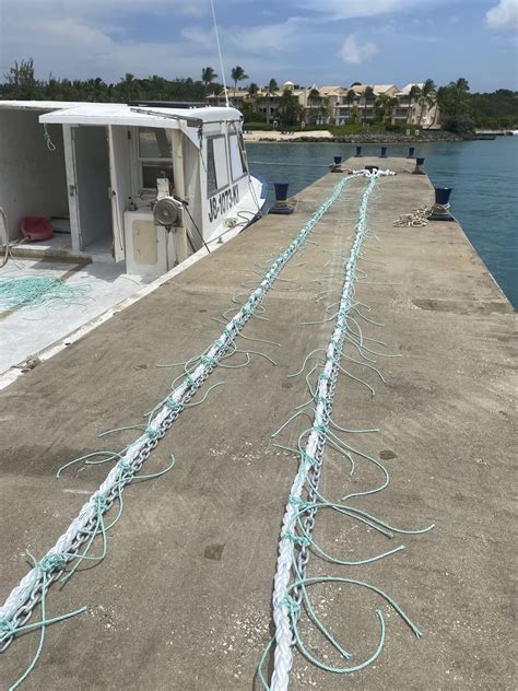 Fisheries 的图像结果