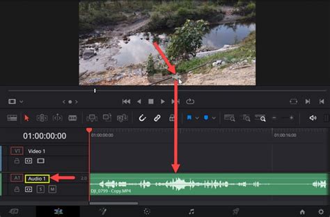 Image result for Chapter 2 Importing Clips into Resolve