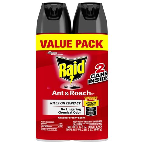 Best black carpet beetle treatment - The Best Home