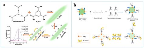 Nanoscale Metal-Organic Frameworks as Fluorescence Sensors for Food Safety