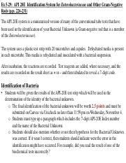Image result for API 20E Manual PDF