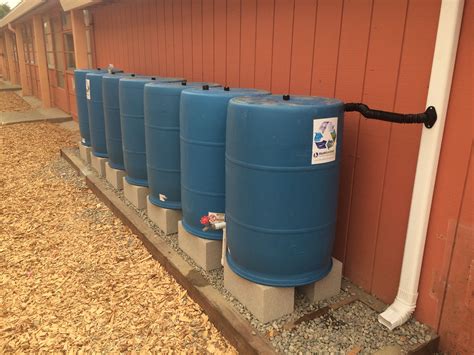 DIY Rainwater Catchment System with Recycled Barrels