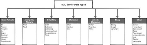 Image result for Microsoft SQL Server Types
