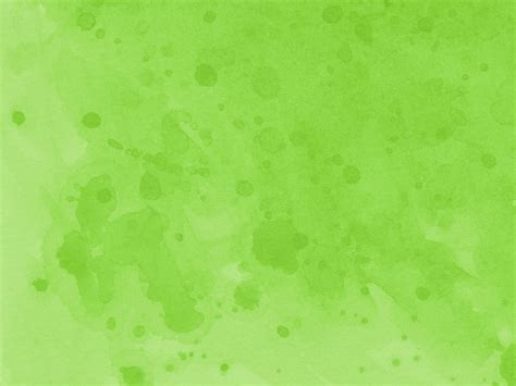 [200+] Light Green Backgrounds | Wallpapers.com
