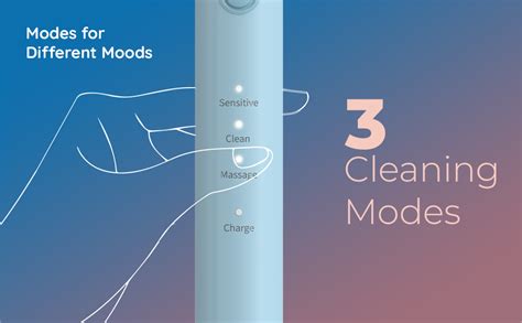 ORACURA SB200 Grey Electric Toothbrush for Men & Women, 1 Year Warranty ...