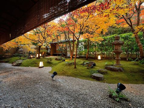 Daigo - Michelin Starred Kaiseki in Tokyo - Klook India