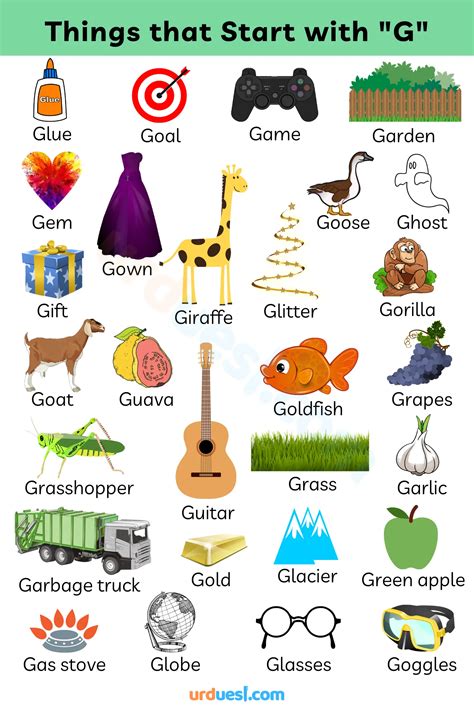 Household Items that Start with G - Easy Things with Letter G