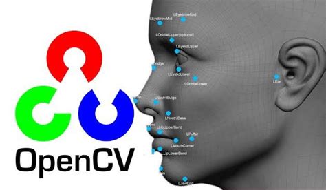 OpenCV Python Tutorial Tech with Tim 的图像结果