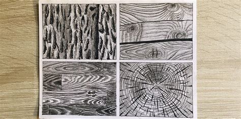 Image result for Tree Texture Drawing